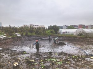 哈密河道鱼塘清淤